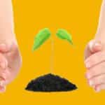 Fonds distincts : une alliance entre la croissance du capital et protection assurée de vos placements Plante verte qui pousse entre deux mains pour article Fonds distincts : une alliance entre la croissance du capital et protection assurée de vos placements - site Magnolia Gestion assurance vie en ligne